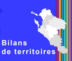 Bilans de territoires des antennes de la CCI Charente-Maritime